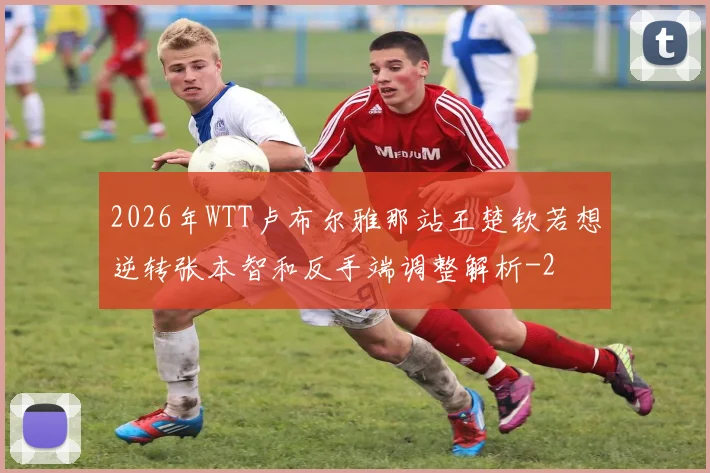 2026年WTT卢布尔雅那站王楚钦若想逆转张本智和反手端调整解析