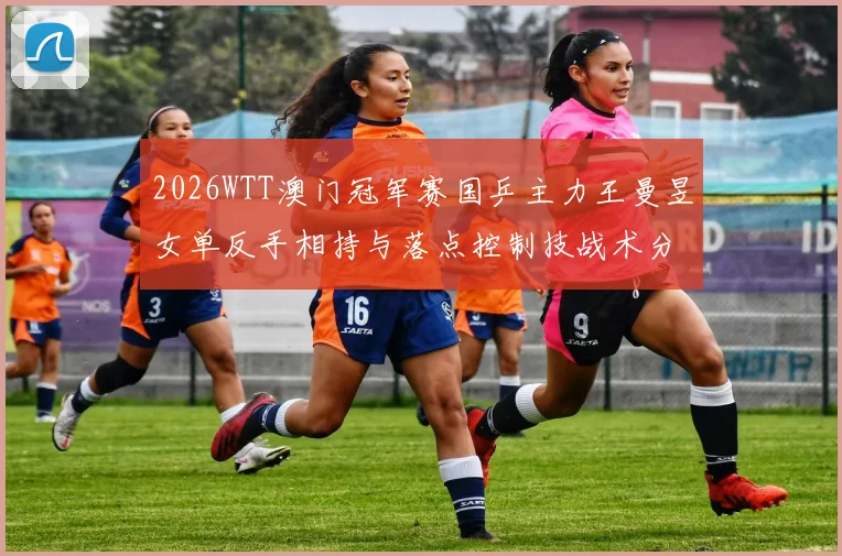 2026WTT澳门冠军赛国乒主力王曼昱女单反手相持与落点控制技战术分析