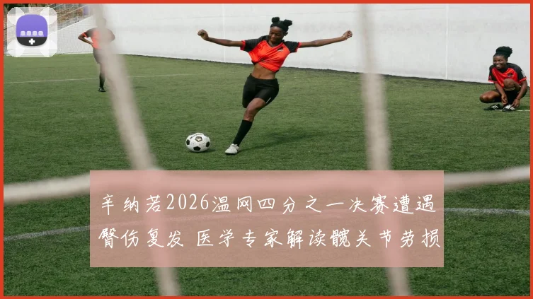 辛纳若2026温网四分之一决赛遭遇臀伤复发 医学专家解读髋关节劳损与康复前景